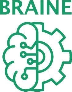 Brain